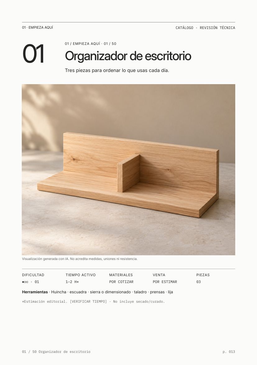 Ficha del proyecto organizador de escritorio