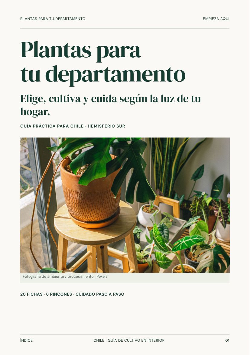 Portada del libro Plantas para tu departamento